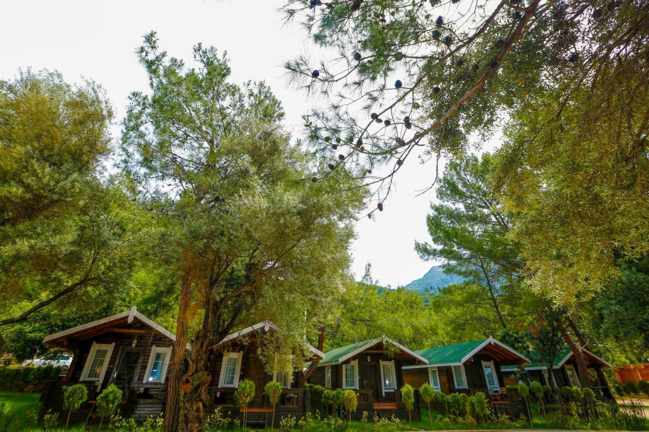 Green Pine Beach & Bungallows Hisaronu Exteriér fotografie